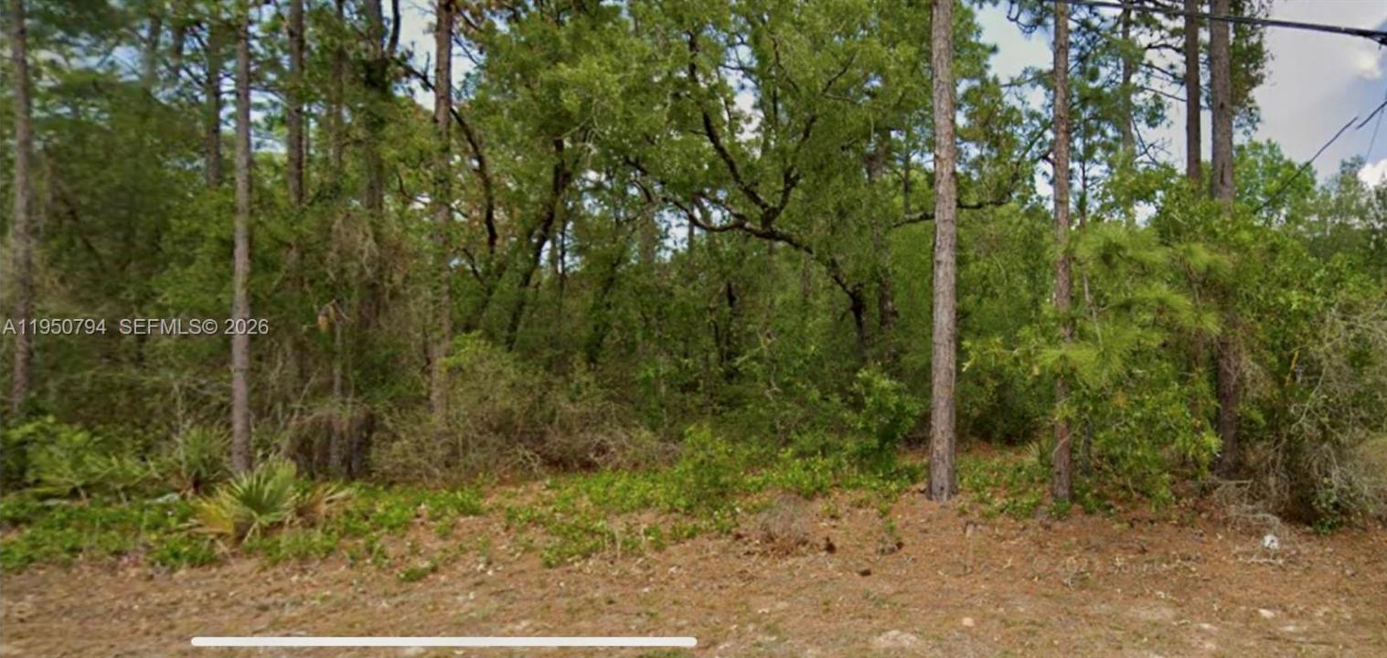 8550 N N Citrus Springs Blvd, Florida 34434, Estados Unidos