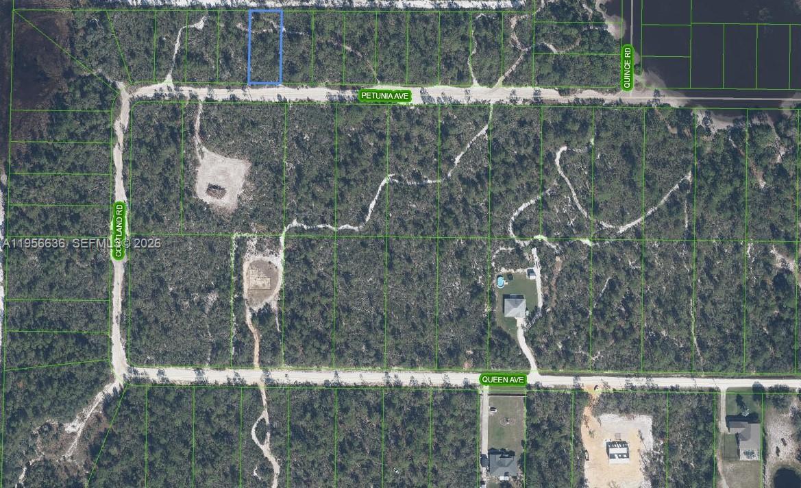 2210 PETUNIA AVE, Sebring, Floride 33875, États-Unis