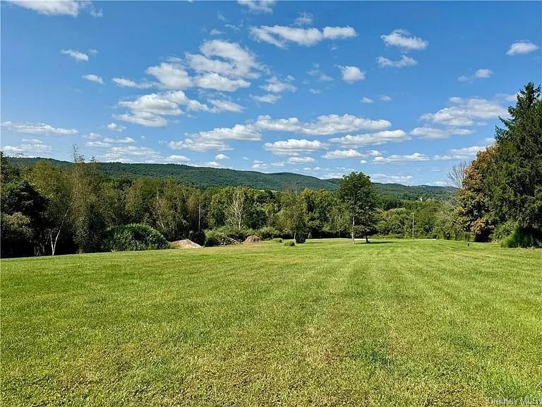 8 yellow city rd, Amenia, New York 12501, États-Unis