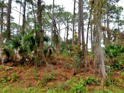 Tbd Giblin Drive, North Port, Floride 34286, États-Unis