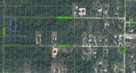 1981 SCARLET SAGE TER, Sebring, Florida 33875, USA