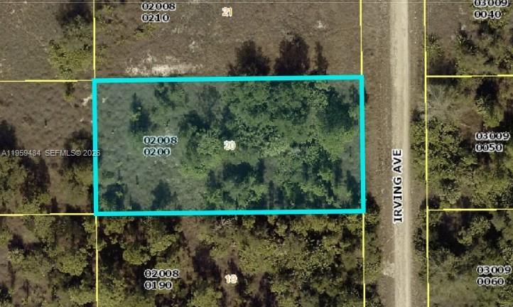 1615 Irving Ave, Lehigh Acres, Florida 33972, Stati Uniti