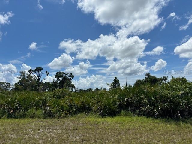 29328 PONTICO ST, Punta Gorda, Floride 33982, États-Unis