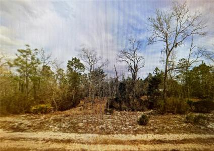 00 April Avenue, Palatka, Floride 32148, États-Unis