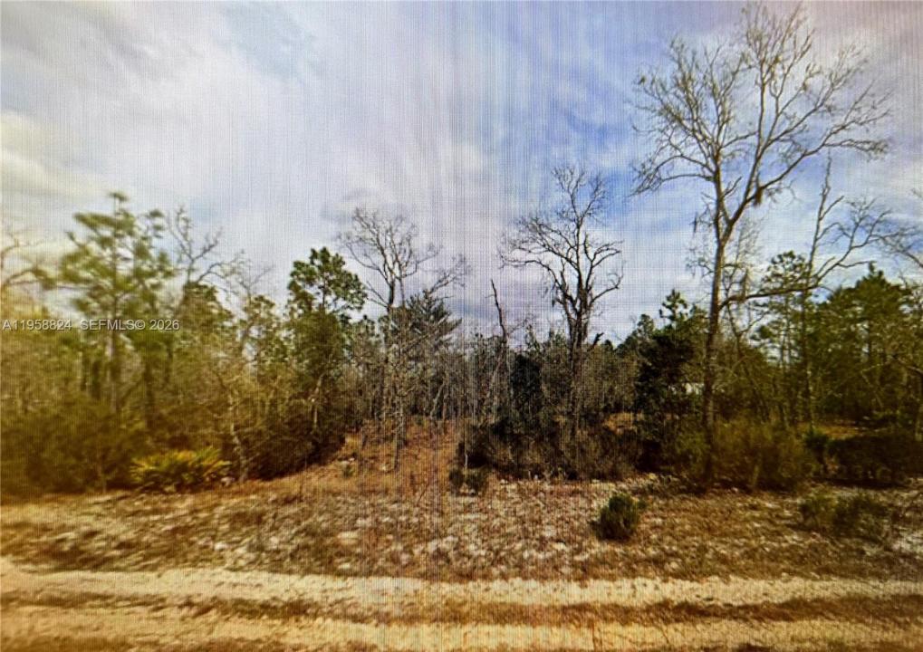 00 April Avenue, Palatka, Flórida 32148, Estados Unidos