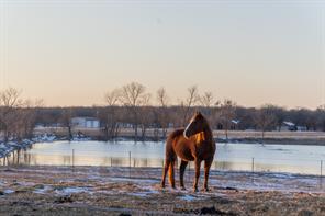 189 Nautilus Court, Decatur, Техас 76234, Соединенные Штаты