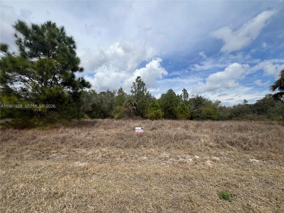 2805 E 16 St, Lehigh Acres, Floryda 33972, USA