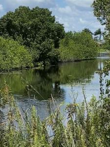 2 NW 13TH PL, Cape Coral, Florida 33993