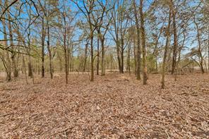 Co Rd 343, Kaufman, Texas 75142, Stati Uniti