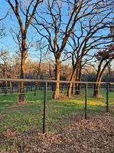 3521 Sentinel Oak Road, Flower Mound, Texas 75022