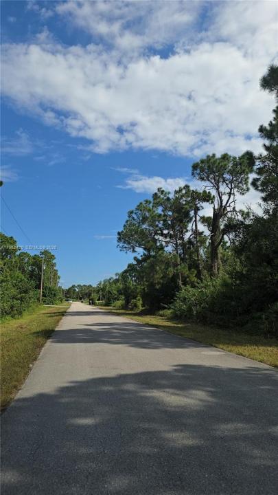 233 MALDEN AVE S, Lehigh Acres, Floride 33974, États-Unis
