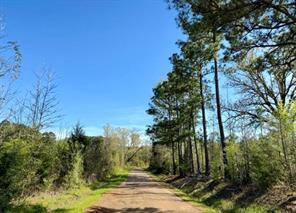 County Road 1619, Linden, Texas 75563