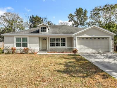 608 Masters Avenue, Wildwood, Floride 34785, États-Unis