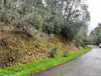 Black Oak Street, ניס, קליפורניה 95464, ארצות הברית של אמריקה 