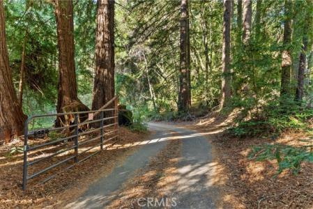 Trout Gulch, Aptos, Californie 95003, États-Unis