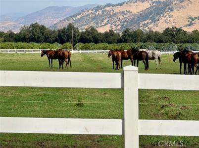 E Belmont, Sanger, Kalifornien 93657, USA