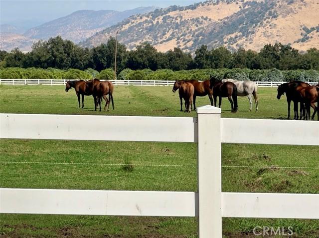 E Belmont, Sanger, Califórnia 93657, Estados Unidos