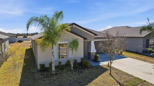 9728 Channing Hill Drive, Ruskin, Florida 33573, Stati Uniti