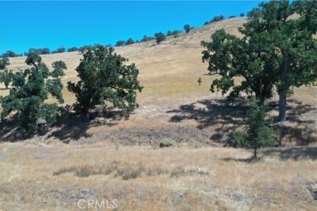 Arosa, Tehachapi, California 93561, Stati Uniti