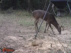 139 County Road, Talco, Texas 75487, Stati Uniti