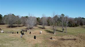 605 County Road 2100, Quitman, Texas 75783, USA