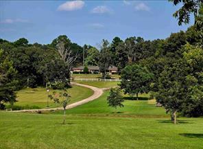 7991 FM 314, Ben Wheeler, Texas 75754, Estados Unidos