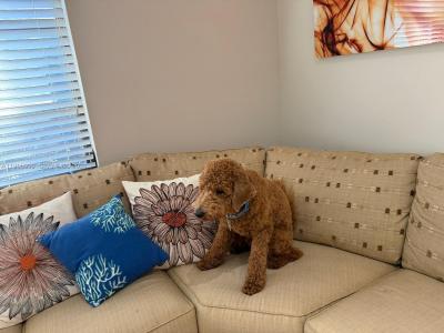 6180 Kings Gate Cir, Delray Beach, Florida 33484, USA