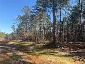 Lot 6 King Estate Lane, Ruston, Louisiana 71270, Stati Uniti