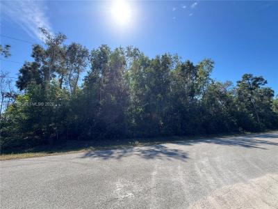 UNINCORPORATED SPANISH OAKS LANE, Other City - In The State Of Florida, Flórida 34119, Estados Unidos