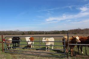 2488 Rs County Road 1525, Punto, Texas 75472, Stati Uniti