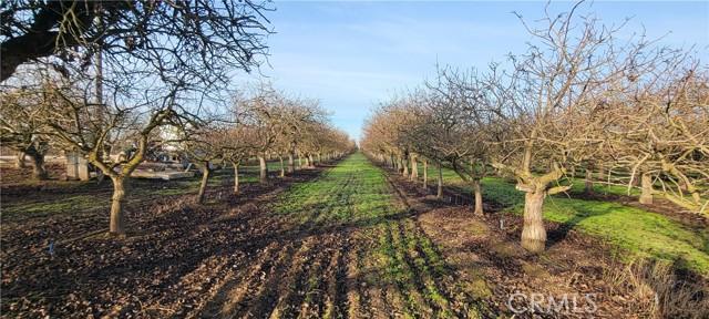 Santa Fe, Chowchilla, 캘리포니아 93610, 미국