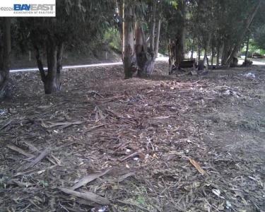 Morrison Canyon Rd, Fremont, Californie 94536, États-Unis