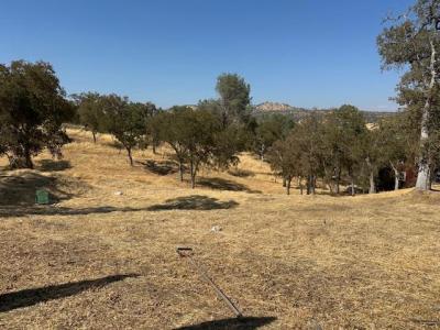 Council Trail, Copperopolis, Californie 95228, États-Unis