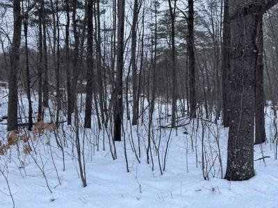 Wallum Lake Road, Burrillville, RI 02859, USA