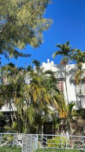 1611 Euclid Ave 3, Miami Beach, פלורידה 33139, ארצות הברית של אמריקה 