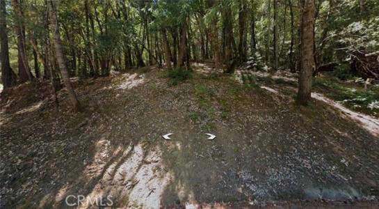 Clover, Willits, קליפורניה 95490, ארצות הברית של אמריקה 