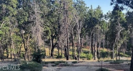 Jordan Hill, Magalia, Californie 95954, États-Unis