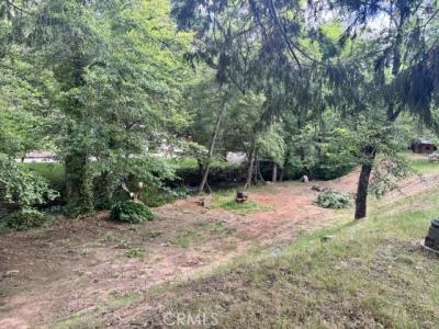 Murphys Grade Road, Murphys, كاليفورنيا 95247, الولايات المتحدة