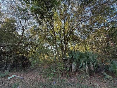 858 WOODLAND BLVD, Clewiston, Florida 33440, USA