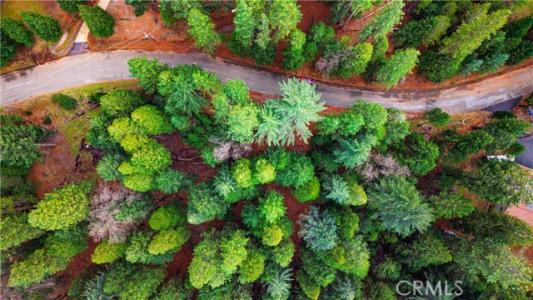 Pine Ridge, Grizzly Flats, Californie 95636, États-Unis