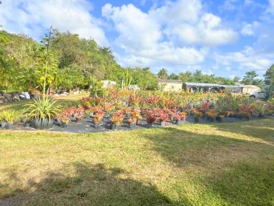 7300 NW 44th Terrace, Coconut Creek, Florida 33073, USA