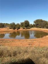 782 County Rd 145, Sweetwater, Texas 79556, HOA KỲ