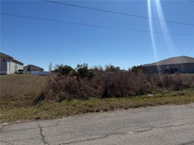 134 HARLEY TER, La Belle, Florida 33935, USA