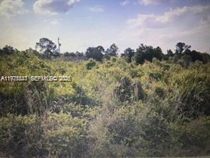 330 Hermosa ave, Lehigh Acres, Florida 33974, Stati Uniti