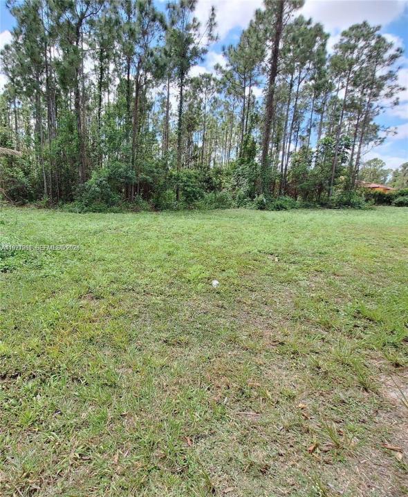 19310 SW 134TH ST, Homestead, Floride 33034, États-Unis