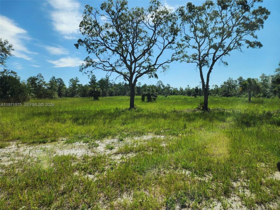 Beach Rd, Floride 32348, États-Unis
