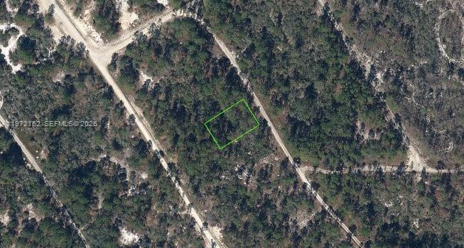 520 Deep River DR, Lake Placid, Florida 33852, Stati Uniti