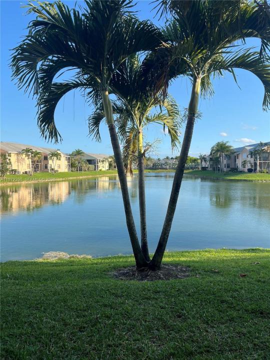 980 Constitution Dr 980J, Homestead, Florida 33034, USA