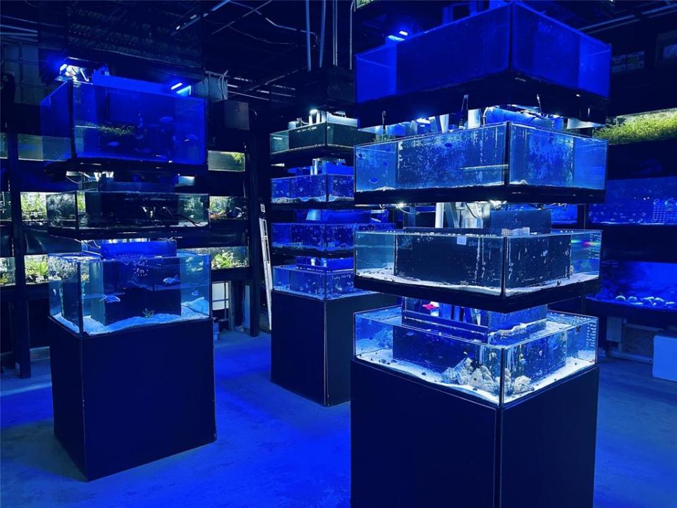 1135 US Highway 1, Vero Beach, Florida 32960