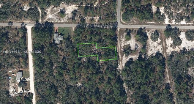 405 Blue Horizon, Lake Placid, Floride 33852, États-Unis
